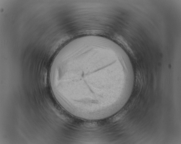 X0000087390110200705181317