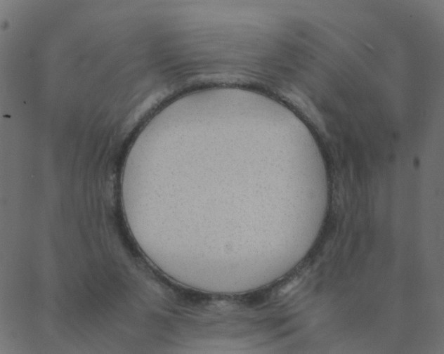 X0000087390111200705181317