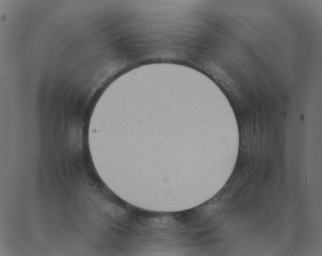 X0000087390112200705181317