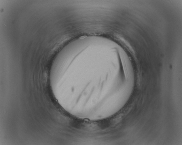 X0000087390113200705181317