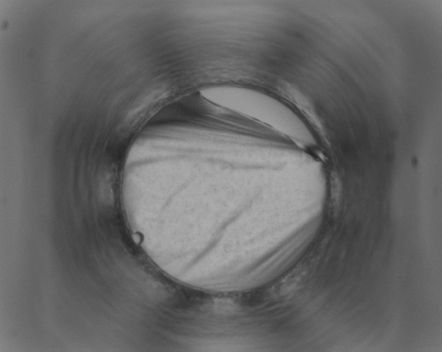 X0000087390114200705181317