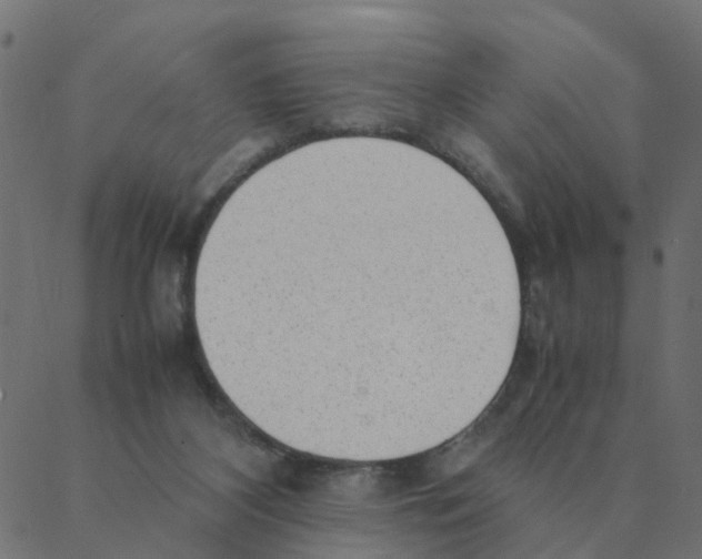 X0000087390116200705181317