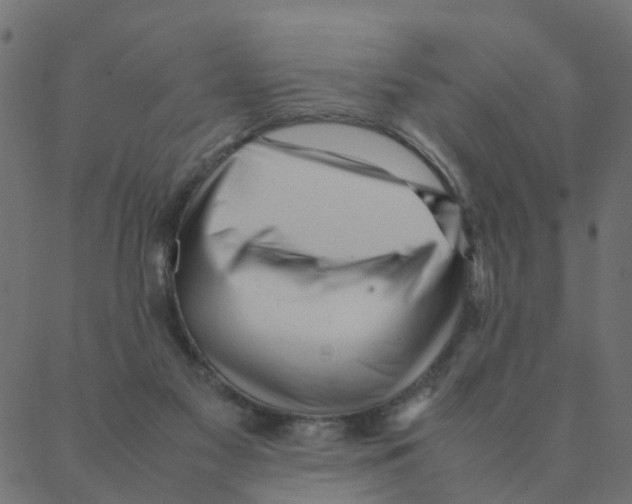 X0000087390117200705181317