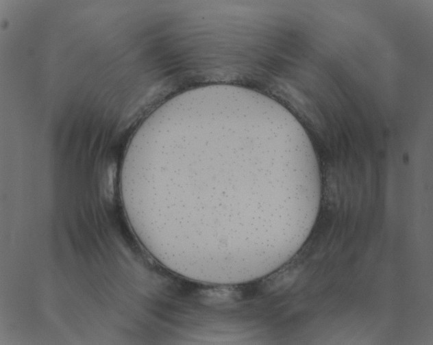 X0000087390118200705181317