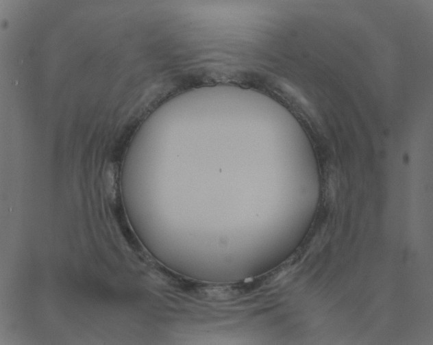 X0000087390121200705181317