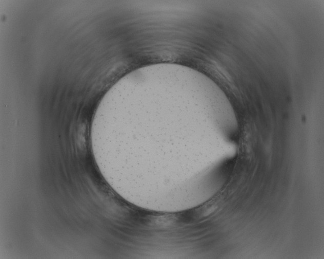 X0000087390122200705181317