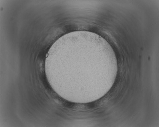 X0000087390123200705181317