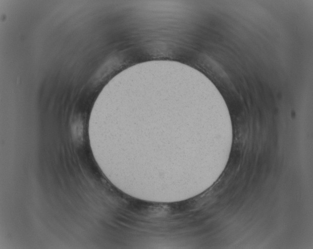 X0000087390124200705181317