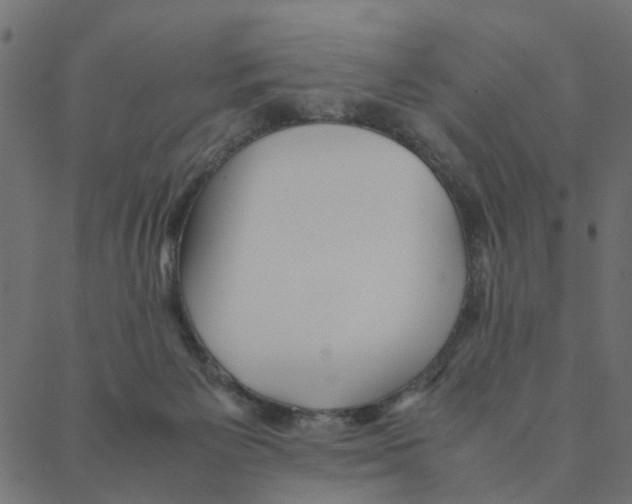 X0000087390125200705181317