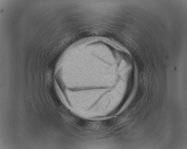 X0000087390127200705181317