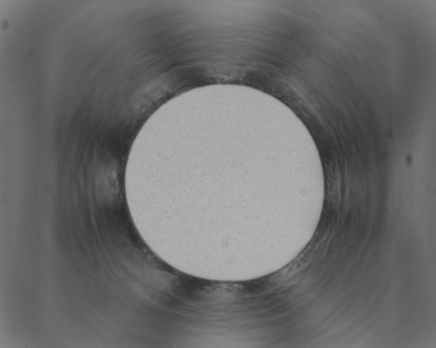 X0000087390128200705181317