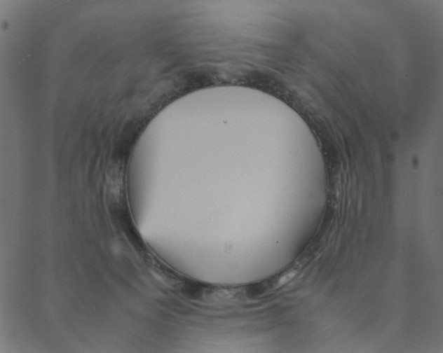 X0000087390129200705181317