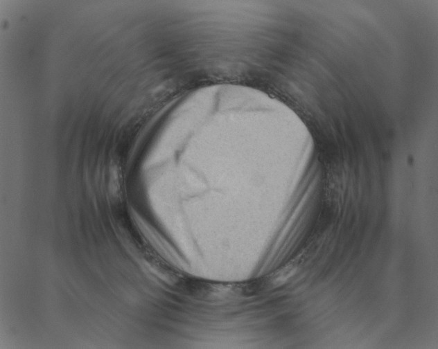 X0000087390130200705181317