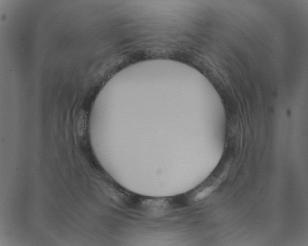 X0000087390133200705181317