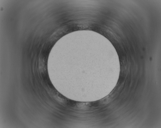 X0000087390136200705181317