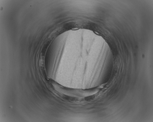 X0000087390137200705181317