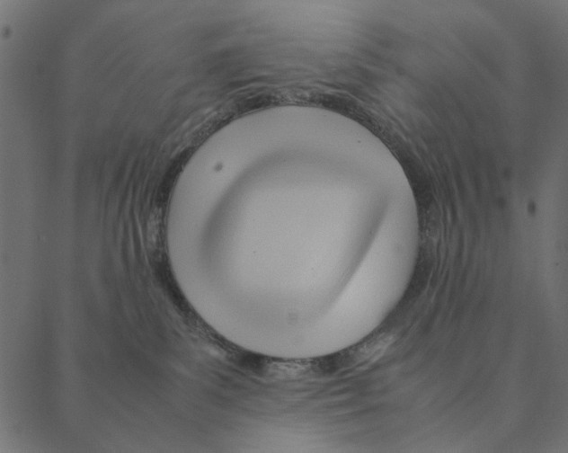 X0000087390139200705181317