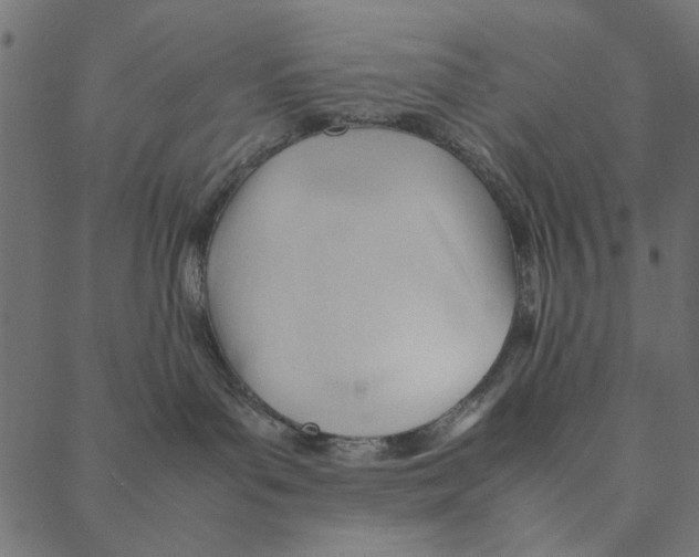 X0000087390143200705181316