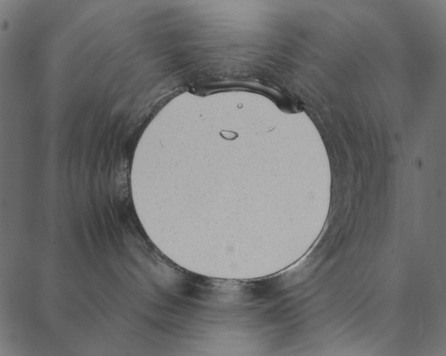 X0000087390144200705181316