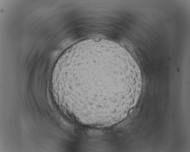 X0000087390145200705181316