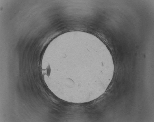 X0000087390146200705181316