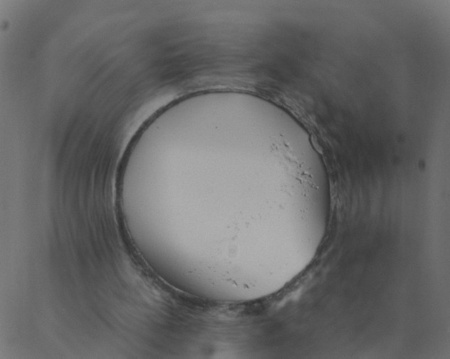 X0000087390148200705181316