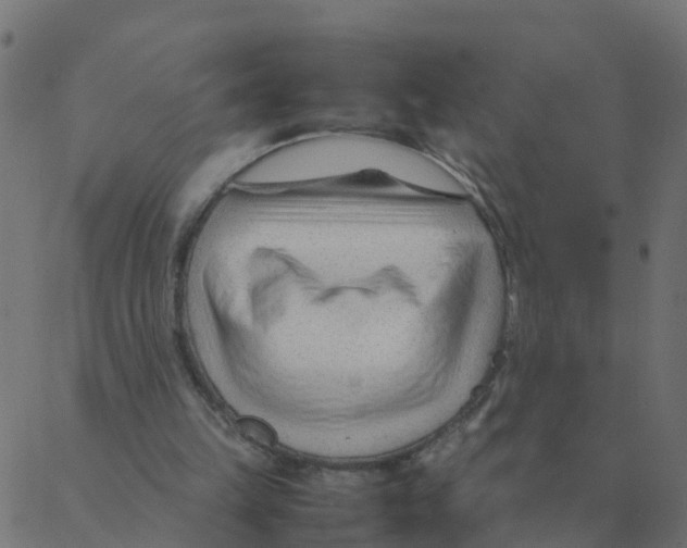 X0000087390149200705181316