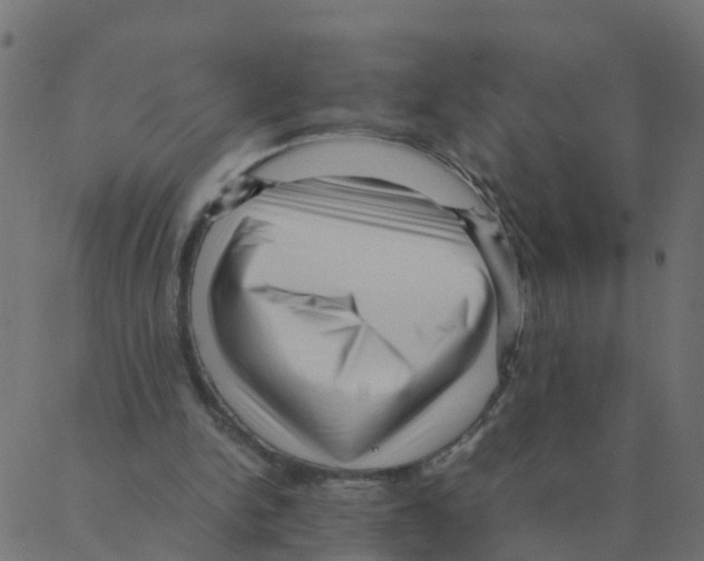 X0000087390150200705181316