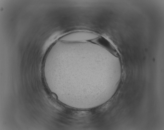 X0000087390151200705181316