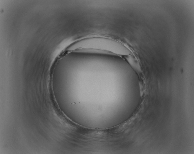 X0000087390152200705181316