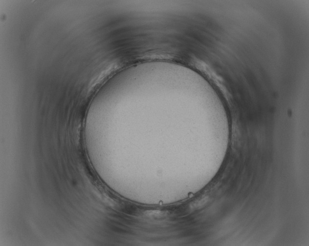 X0000087390153200705181316