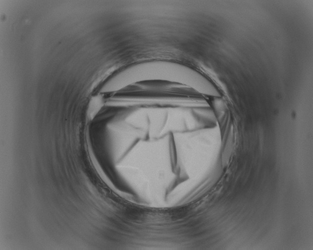 X0000087390154200705181316