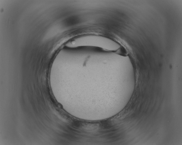 X0000087390155200705181316