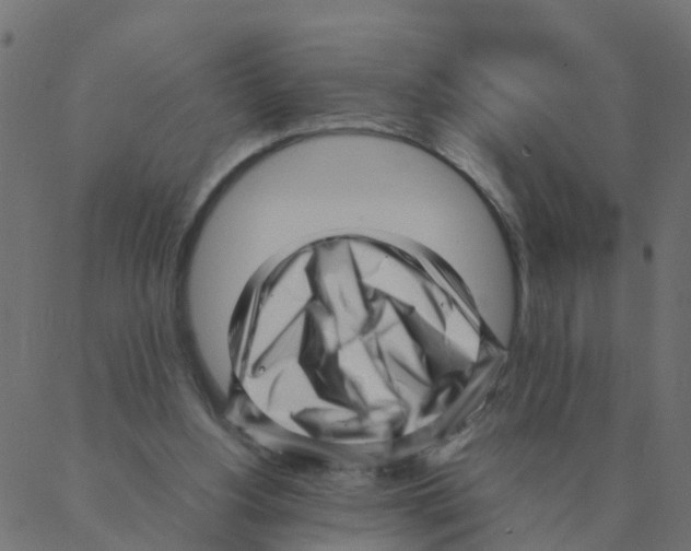 X0000087390156200705181316