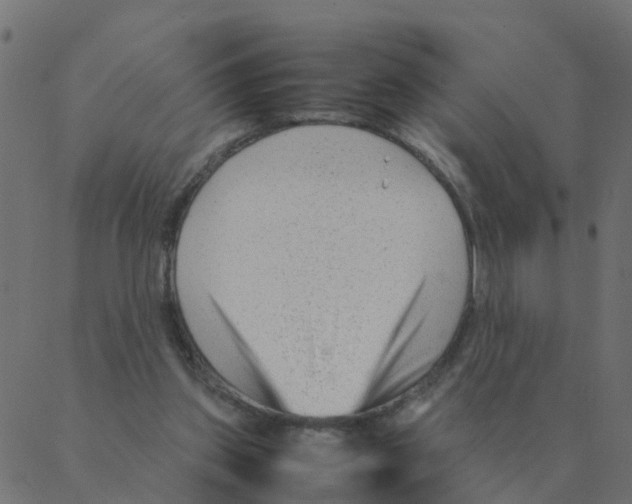 X0000087390157200705181316