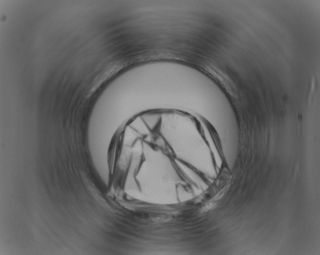 X0000087390158200705181316