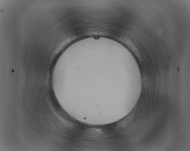 X0000087390159200705181316