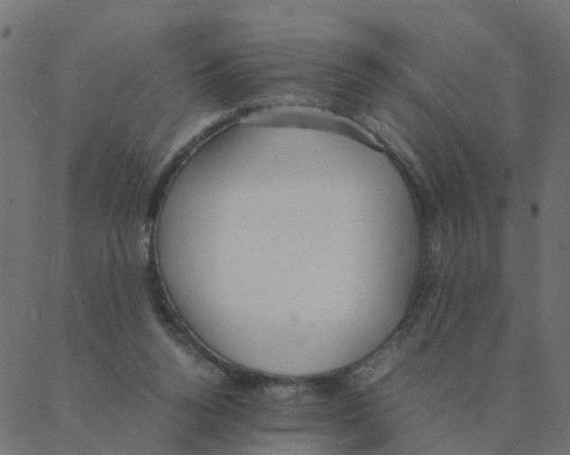 X0000087390160200705181316