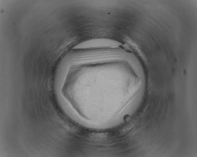 X0000087390161200705181316