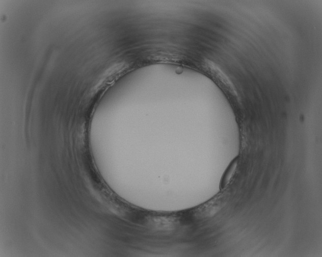 X0000087390163200705181316