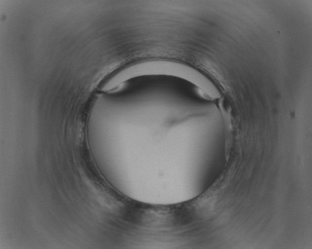 X0000087390164200705181316