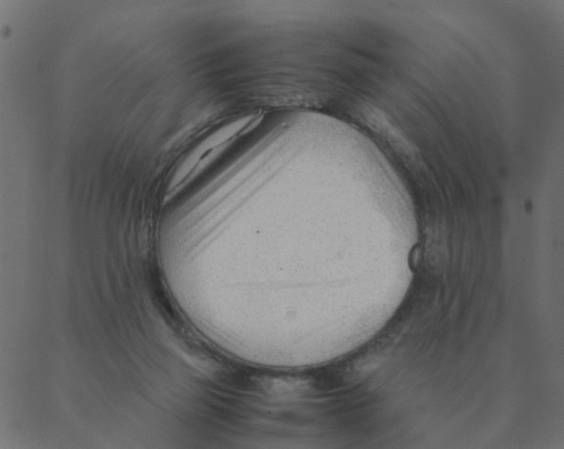 X0000087390165200705181316