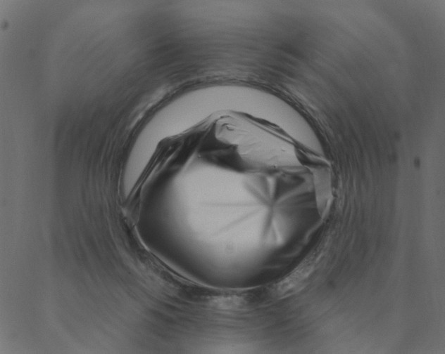 X0000087390168200705181316