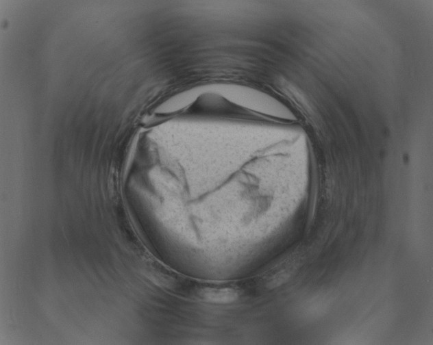 X0000087390169200705181316