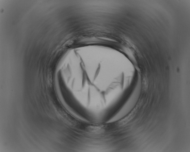 X0000087390170200705181316