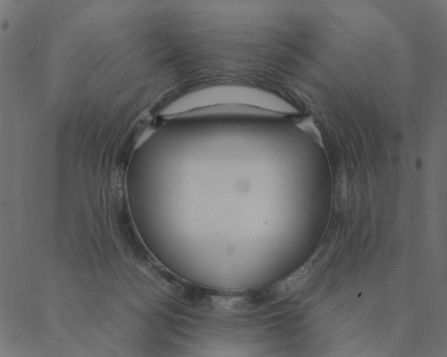 X0000087390172200705181316