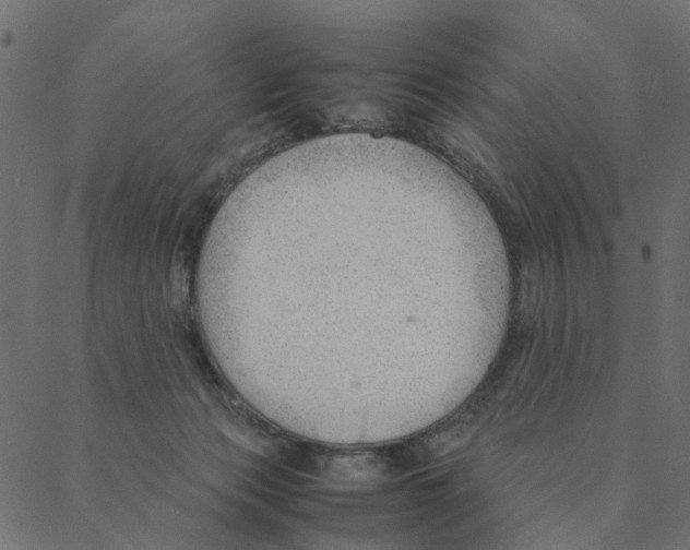 X0000087390173200705181316