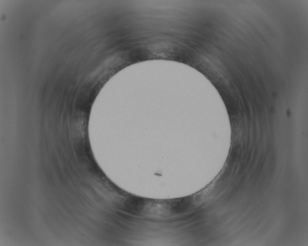 X0000087390174200705181316