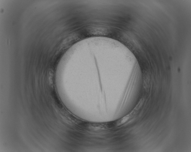 X0000087390175200705181316