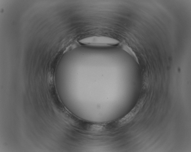 X0000087390176200705181316